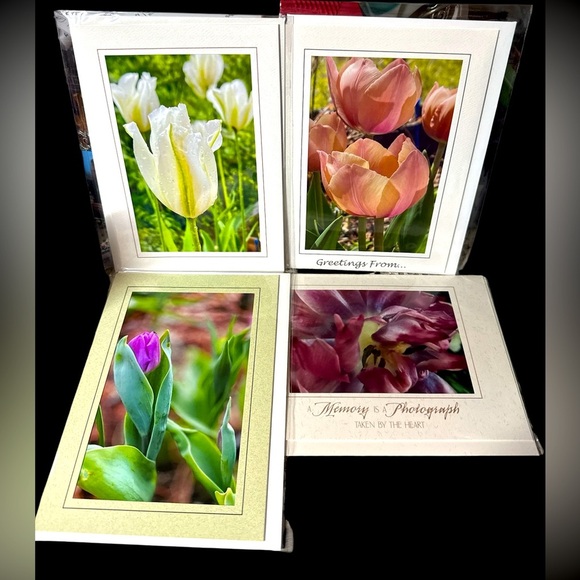 Set of 4 Original Tulip Photography Notecards on Linen Paper. - Picture 1 of 5